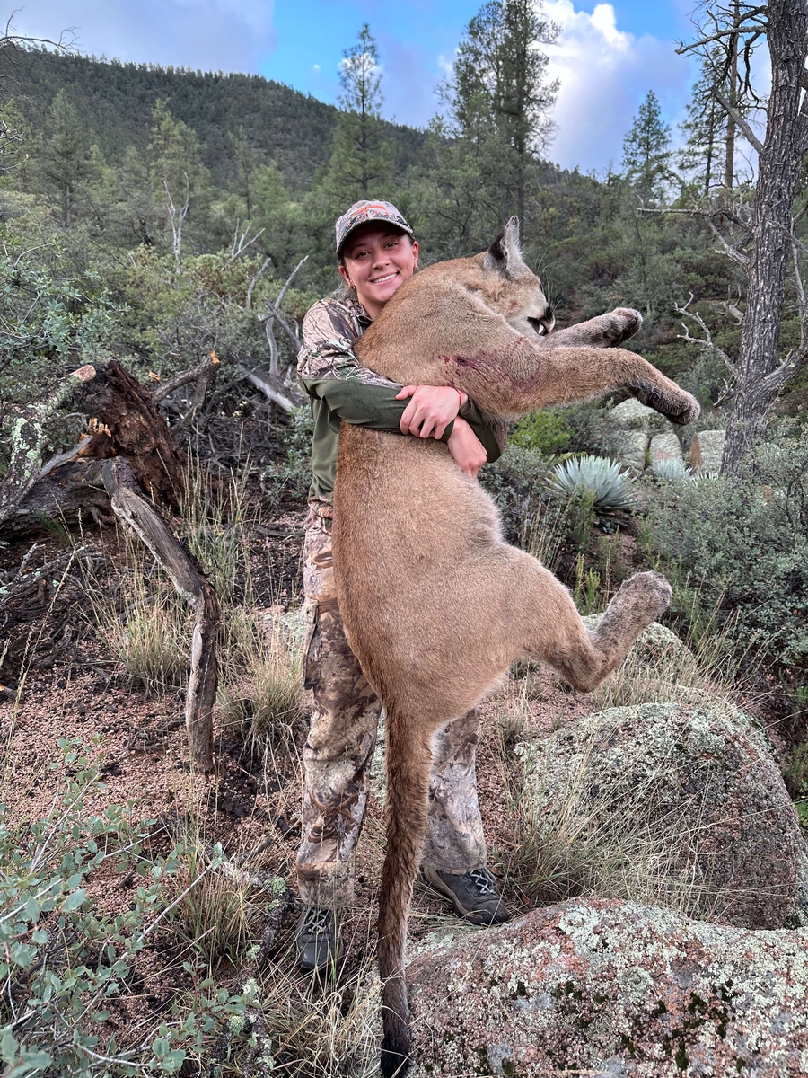 Mountain Lion Hunts