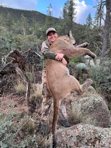 Mountain Lion